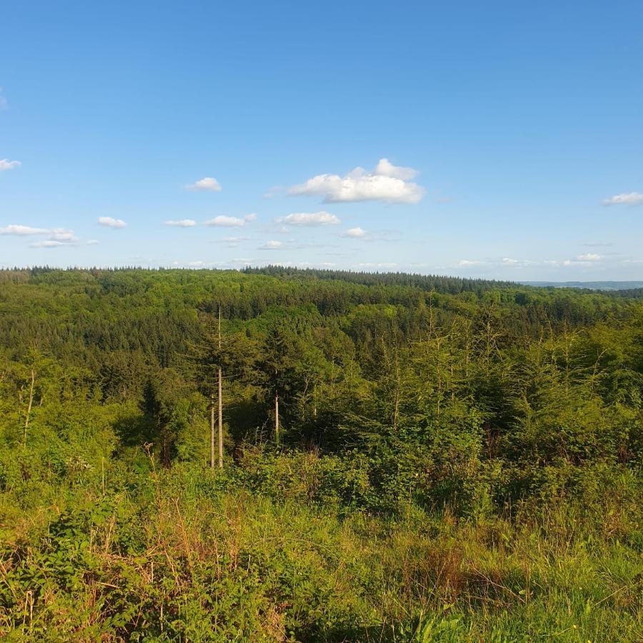 Forest Cedar Lodge, Forest Of Dean Cinderford